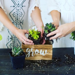 two people putting plants in soil